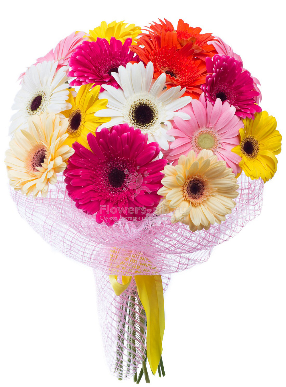 15 Gerberas